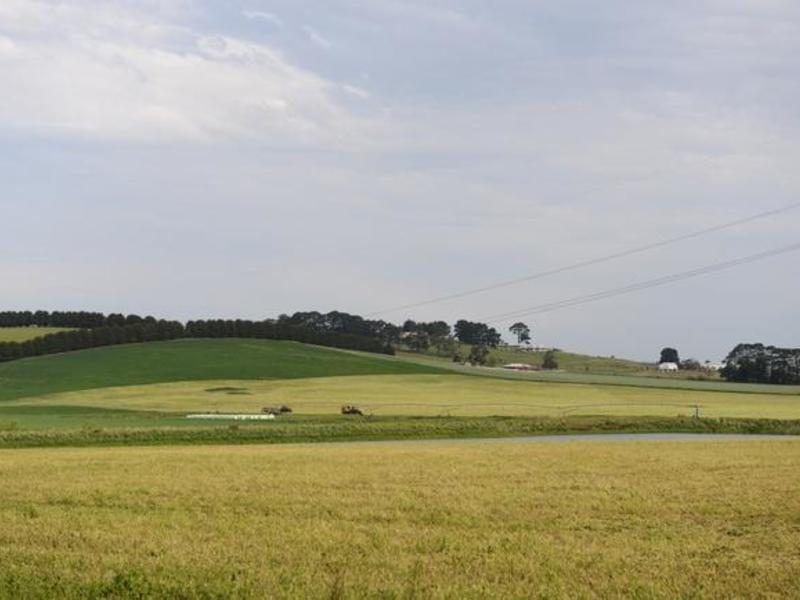 Cnr Sunraysia Highway and Morton Street, Learmonth