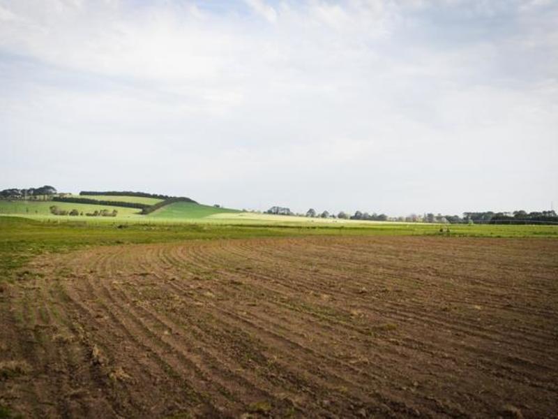 Cnr Sunraysia Highway and Morton Street, Learmonth