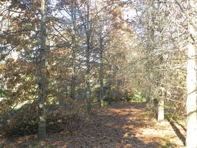 2530 Midland Highway, Shepparton