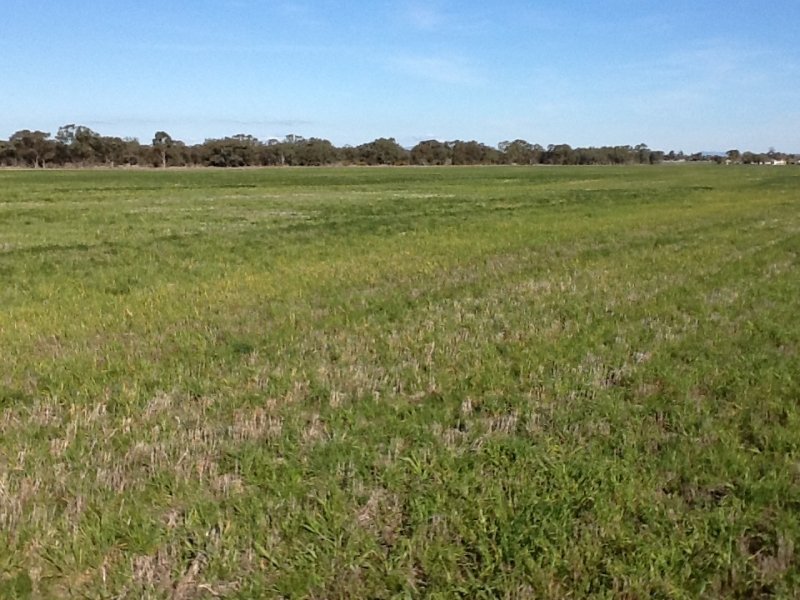 Lot 2, Rasmussen Road, Horsham