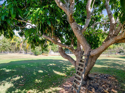 14-16 ORCHID AVE, Urangan