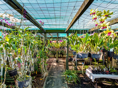 12 HANSEN STREET, Urangan