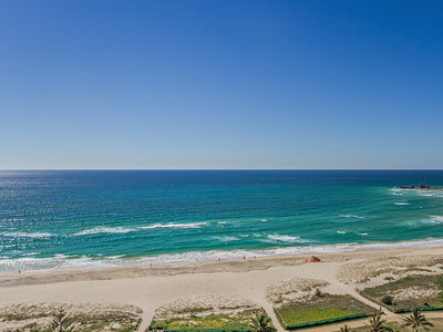 Level FL16 / 973 Gold Coast Hwy, Palm Beach