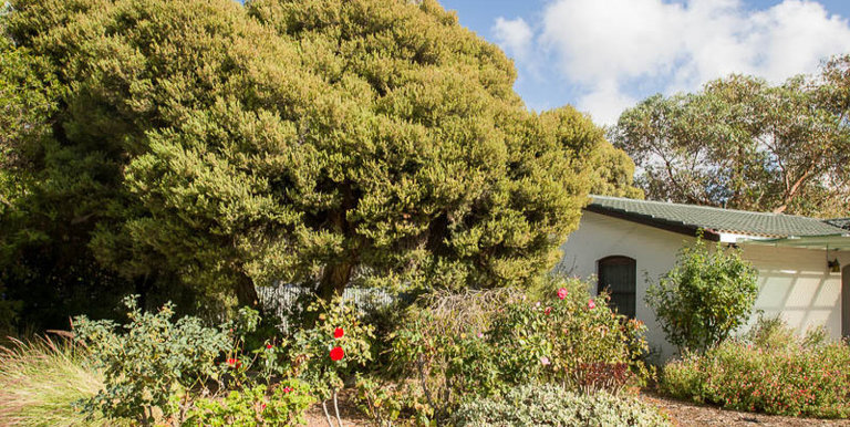 2 Stewart Street, Euroa