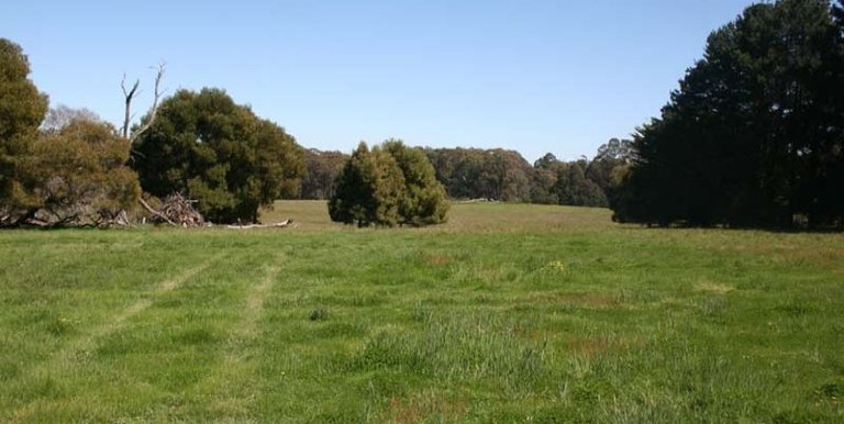 Upper Boho Road, Strathbogie