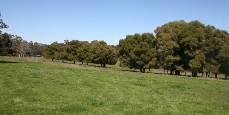 Upper Boho Road, Strathbogie