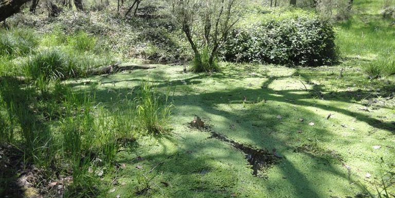 Watkins Road, Strathbogie