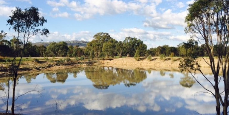 Lot 1 Walters Road, Euroa