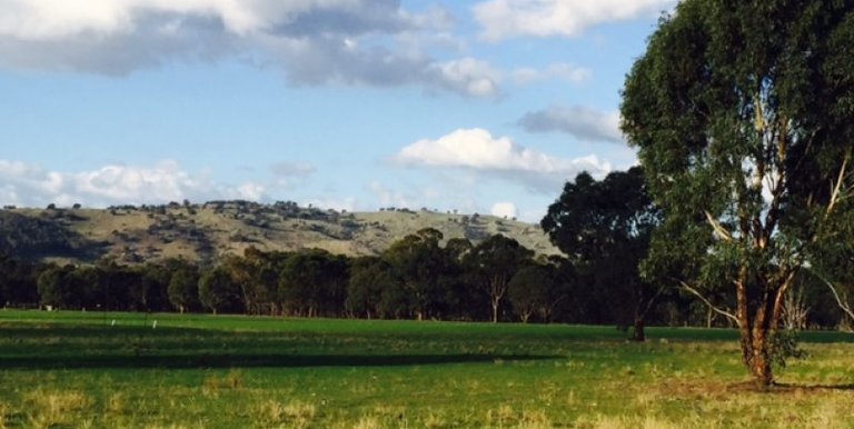 Lot 1 Walters Road, Euroa