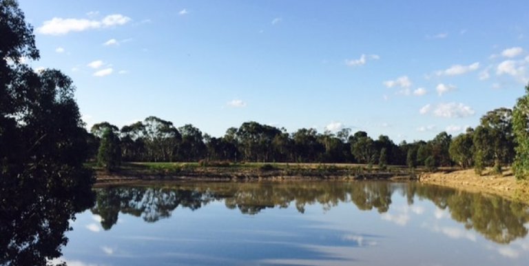 Lot 1 Walters Road, Euroa