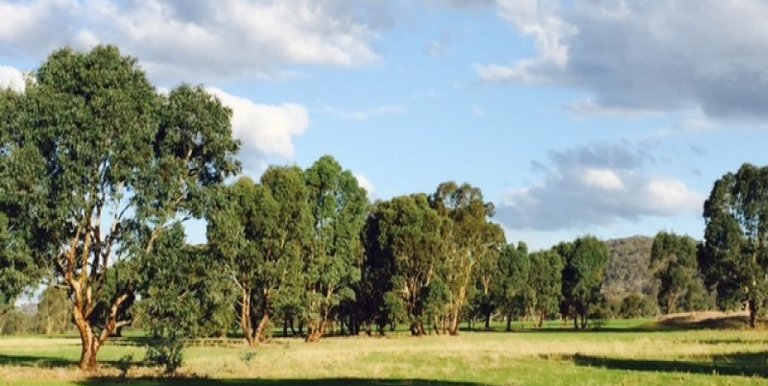 Lot 1 Walters Road, Euroa