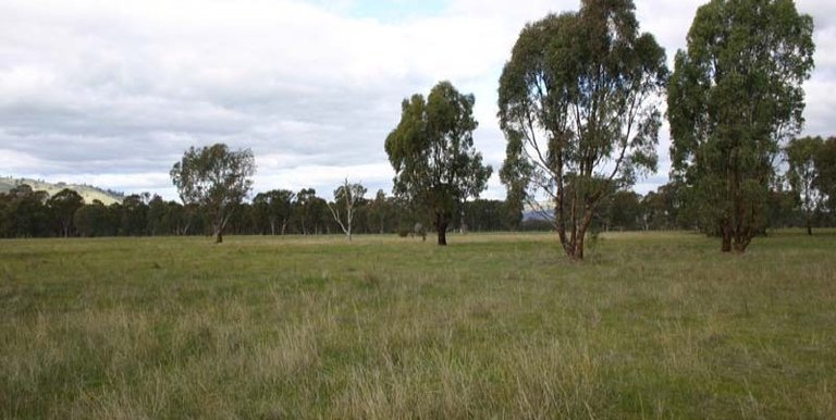 Lot 1 Walters Road, Euroa