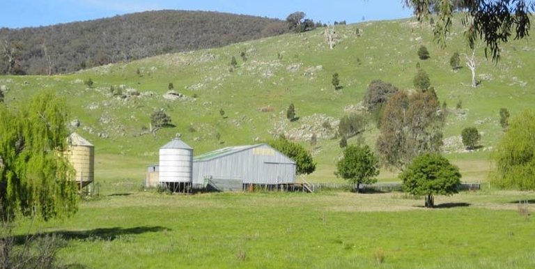 Horse Gully Road, Violet Town