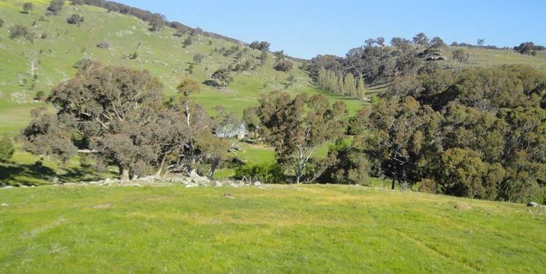 Horse Gully Road, Violet Town