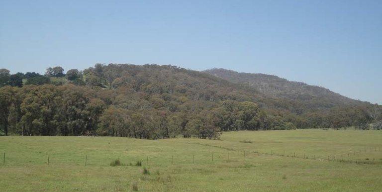 Watkins Road, Strathbogie