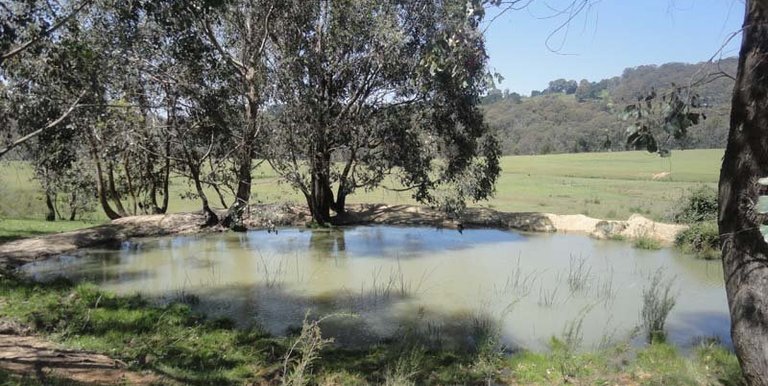 Watkins Road, Strathbogie