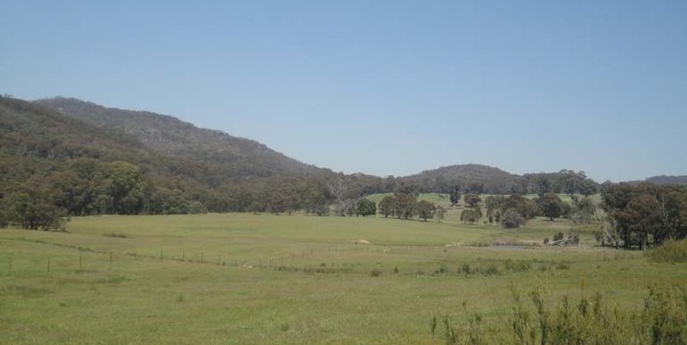 Watkins Road, Strathbogie