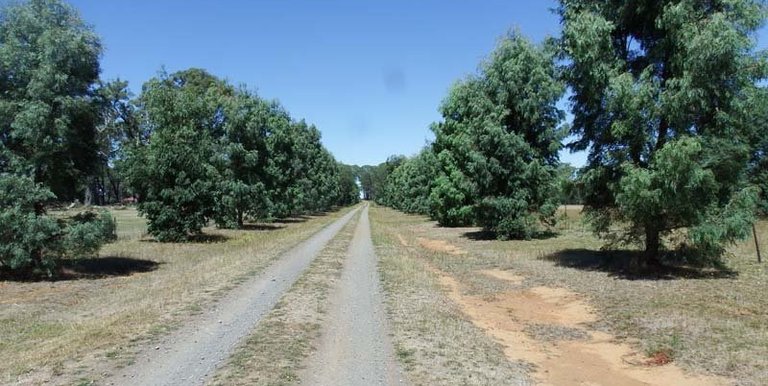 Marmo Lane Marraweeny, Strathbogie