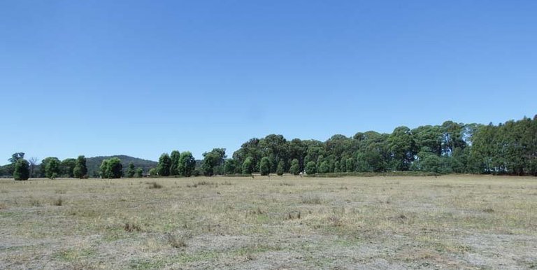 Marmo Lane Marraweeny, Strathbogie