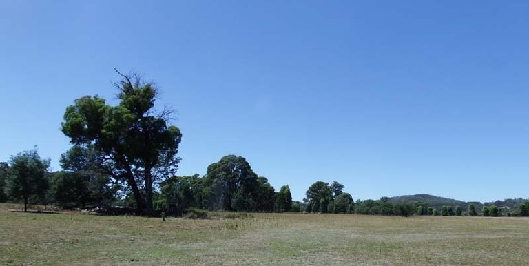 Marmo Lane Marraweeny, Strathbogie