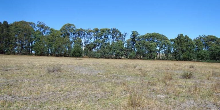 Marmo Lane Marraweeny, Strathbogie