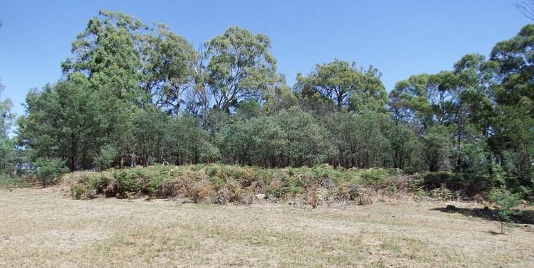 Marmo Lane Marraweeny, Strathbogie