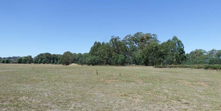 Marmo Lane Marraweeny, Strathbogie