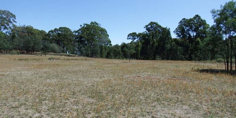 Marmo Lane Marraweeny, Strathbogie