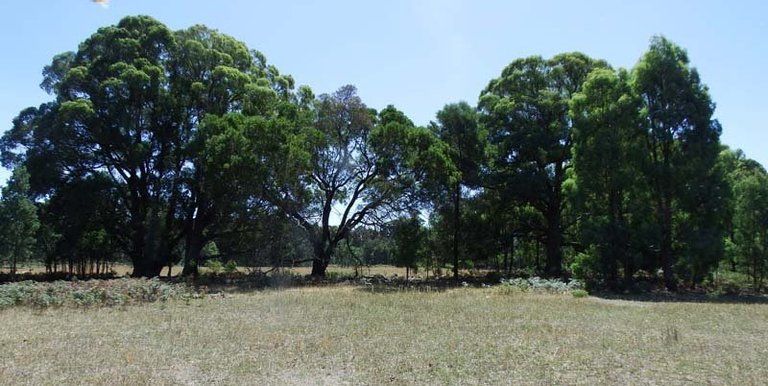 Marmo Lane Marraweeny, Strathbogie