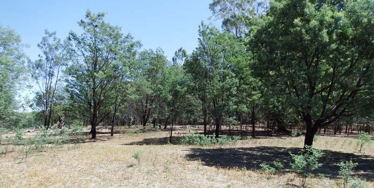 Marmo Lane Marraweeny, Strathbogie