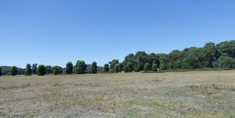 Marmo Lane Marraweeny, Strathbogie