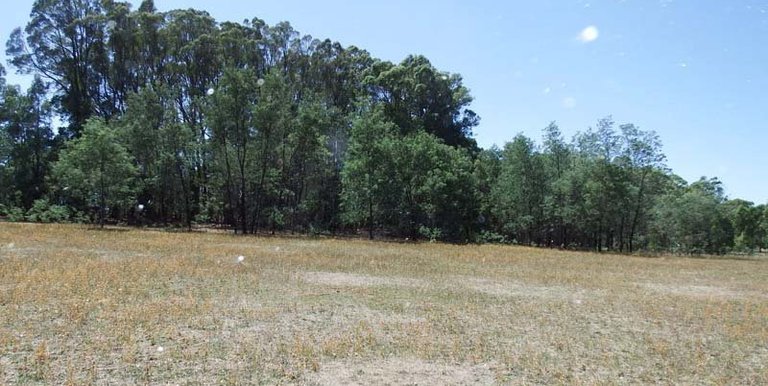 Marmo Lane Marraweeny, Strathbogie