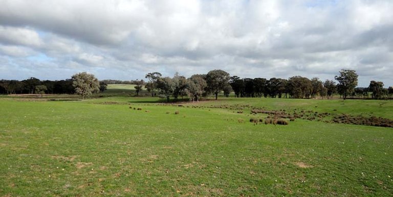 Sloan Road, Violet Town