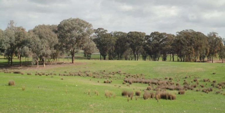 Sloan Road, Violet Town