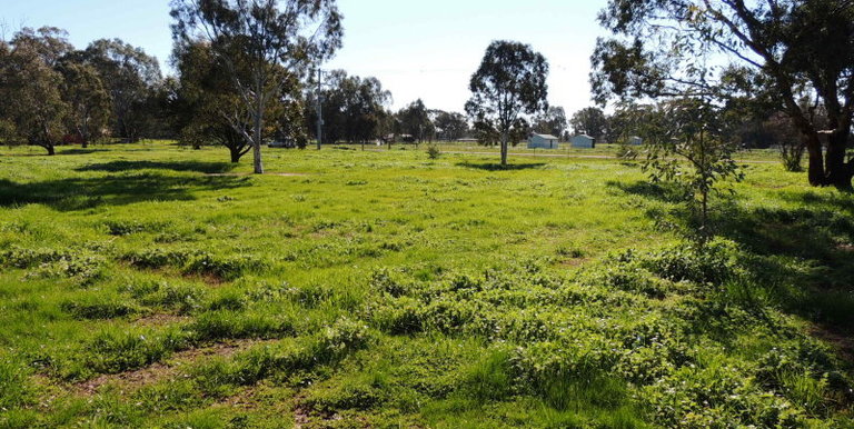 78-88 Boundary Road North, Euroa