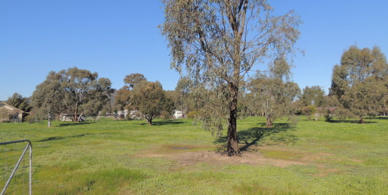 78-88 Boundary Road North, Euroa