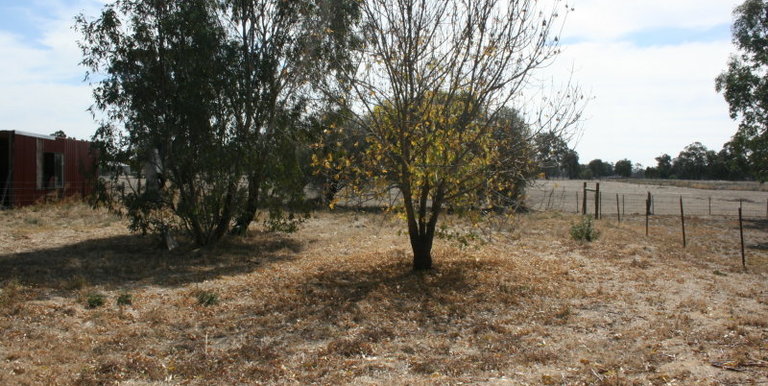 38 Branjee Road, Euroa