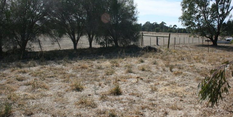 38 Branjee Road, Euroa