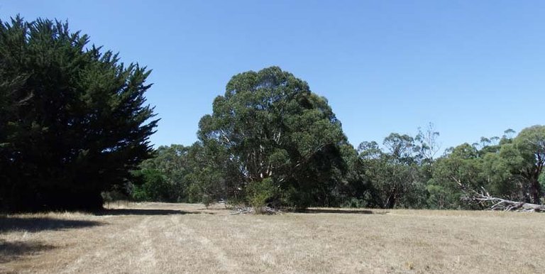 40 Armstong Avenue, Strathbogie