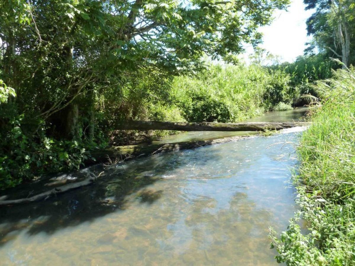 Atherton