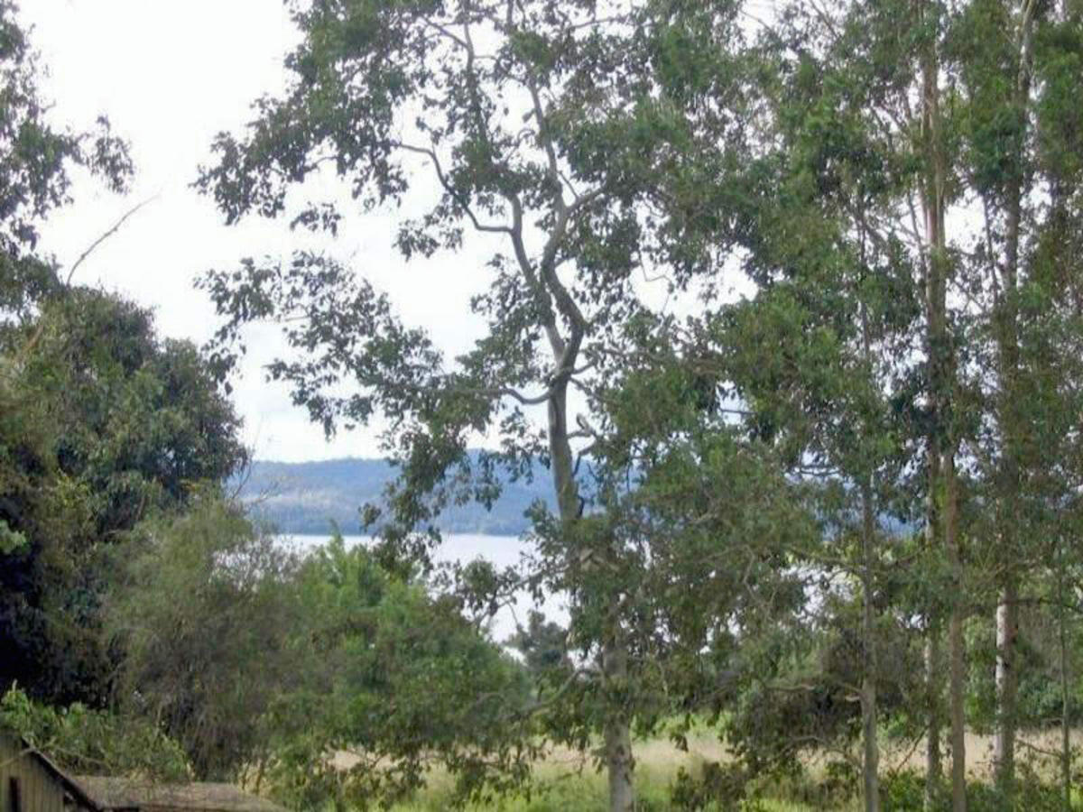 Yungaburra