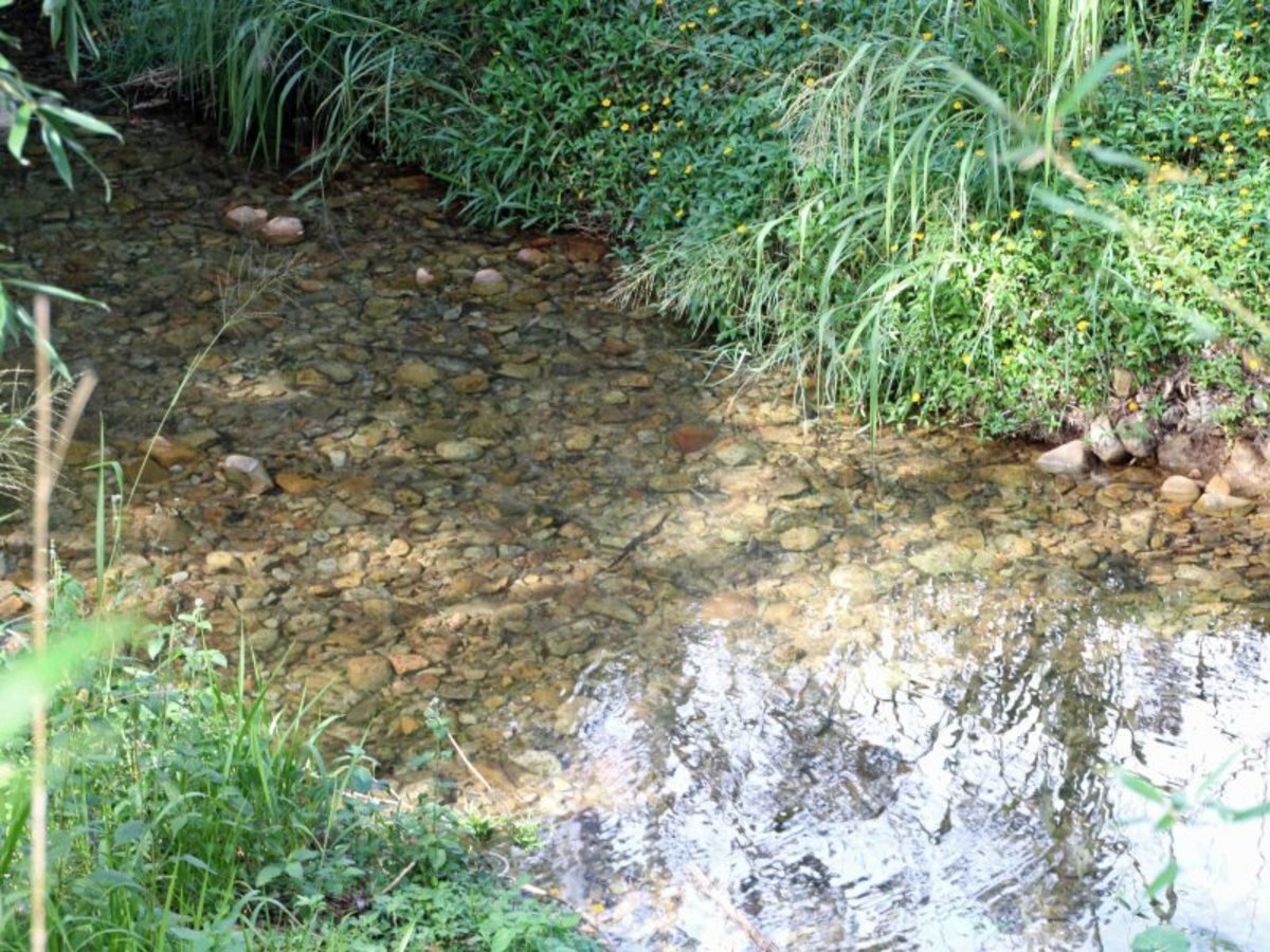 Atherton