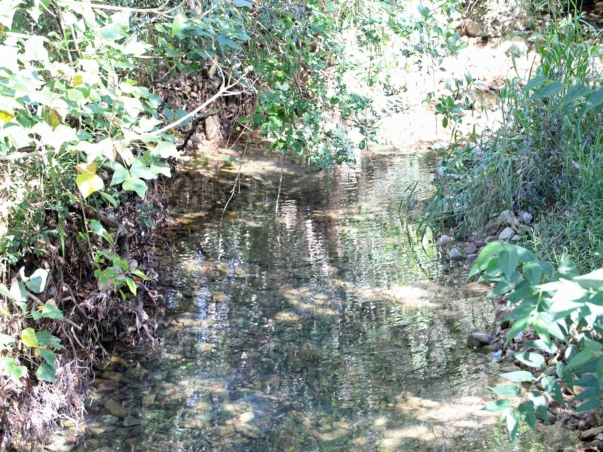 Atherton