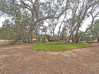 62 Caldwell Street, Heathcote