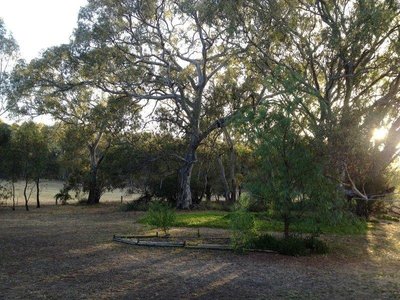 62 Caldwell Street, Heathcote