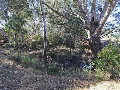 193 Cochranes Road, Heathcote