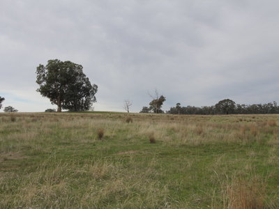 Lot 6 Mia-Mia Derrinal Road, Heathcote