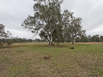 Lot 6 Mia-Mia Derrinal Road, Heathcote