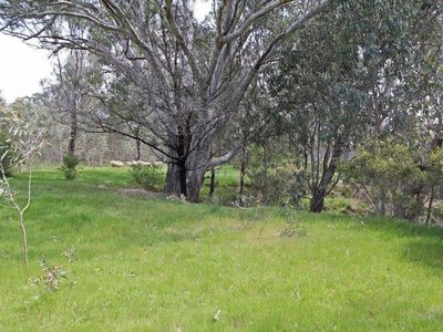 193 Cochrane's Road, Heathcote