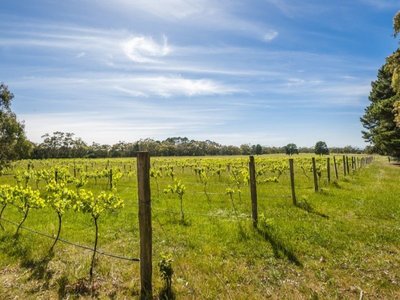 255 KERRIE ROAD, Kerrie